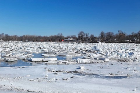Pack ice in spring