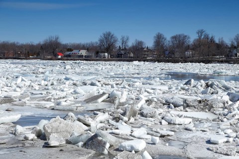 Pack ice in spring