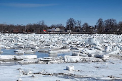Pack ice in spring