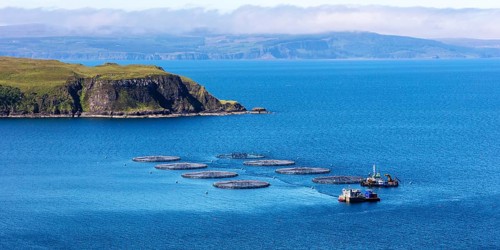 Aquaculture