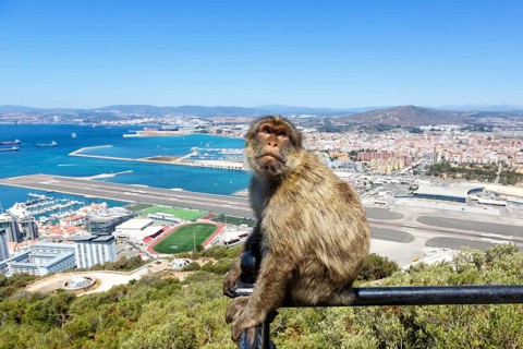 Overview Gibraltar Airport