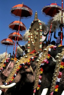 POORAM FESTIVAL