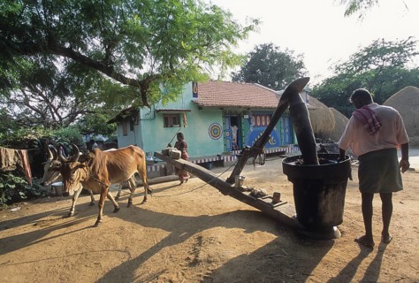 Wooden oil crusher called Marachekku in Tamil Nadu