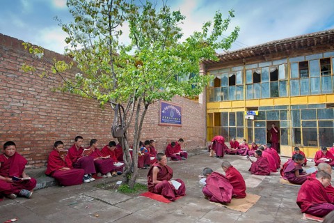 Young Tibetan novices in red monk robes reading religious texts