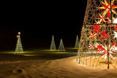 Fairy lights and stars as Christmas trees