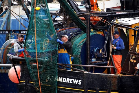Harbour