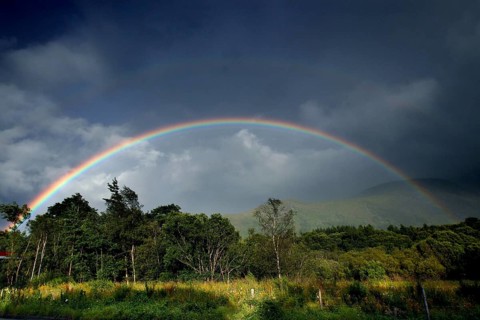 Rainbow