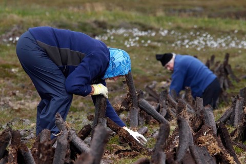 Peat digger