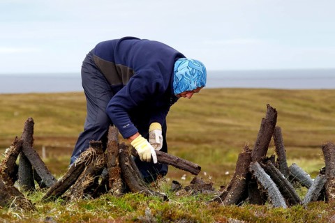 Peat digger
