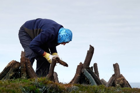 Peat digger