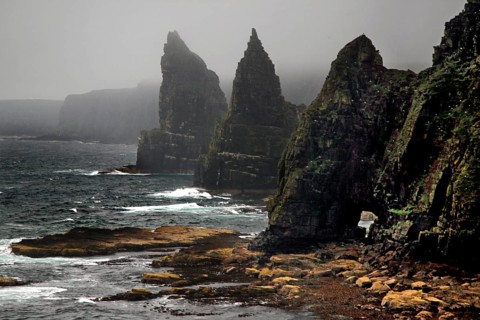 Coast at low tide