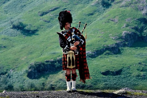 Piper
