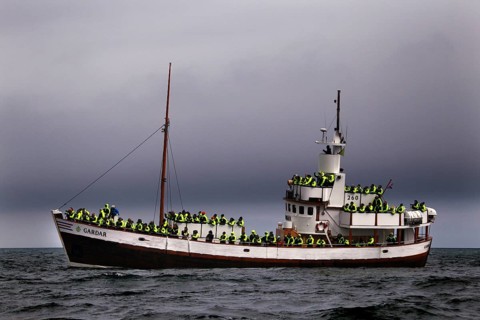 Whale watching tour