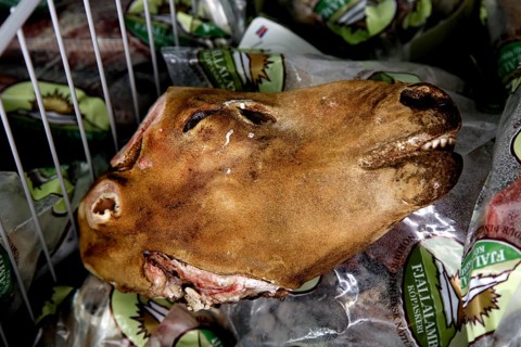 Sheep's head