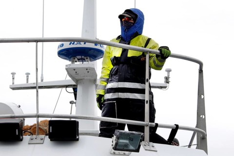 Whale Watching Tour