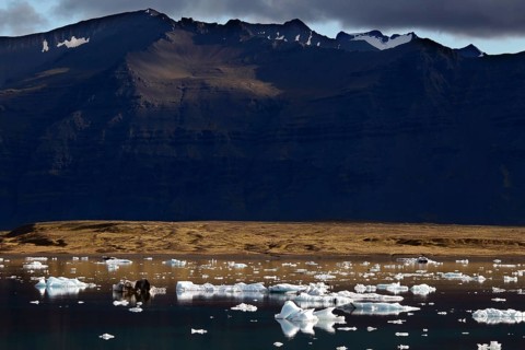 Icebergs