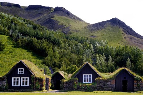 Grass sod houses