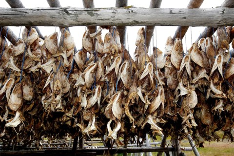 Wooden rack with fish heads