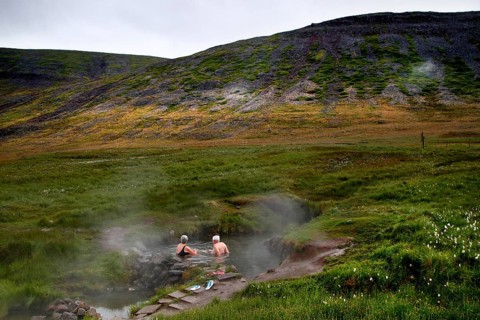 Natural pool