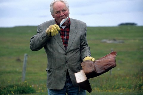 Man costs Greenland shark
