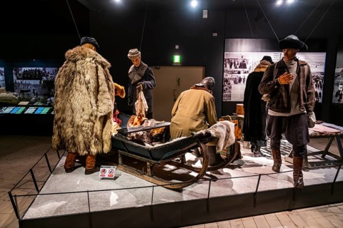 Arktikum museum