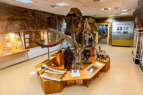 Mammoth in the Museum of History and Culture of The People of The North