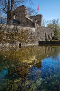 Lippe spring with castle ruins