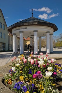 Arminius Spring at the edge of Arminius Park
