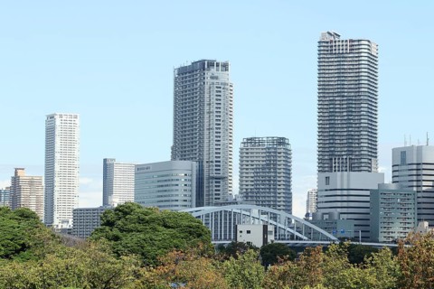 Skyline with sykscrapers from Hamarikyu Gardens