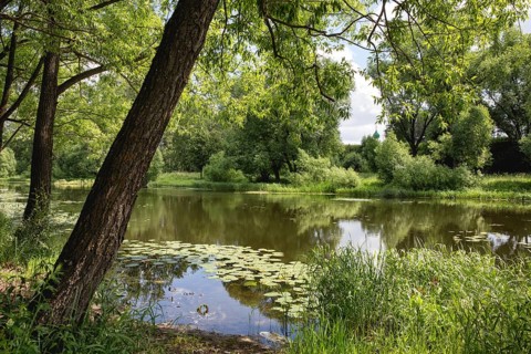 Landscape with Trubezh river