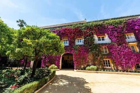 Exterior facade with bougainvillea