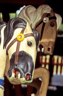 A horse