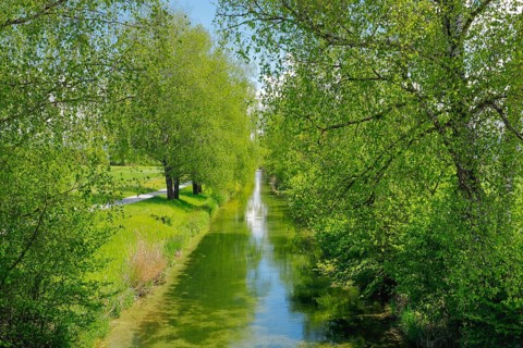 Beginning of the river Glatt at the Greifensee near Faellanden and Schwerzenbach in the canton of Zurich
