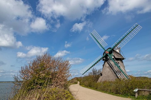 Windmill Charlotte