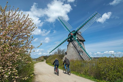 Windmill Charlotte