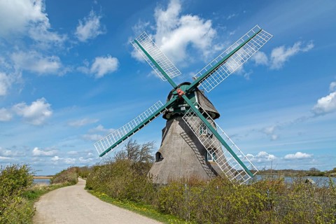 Windmill Charlotte