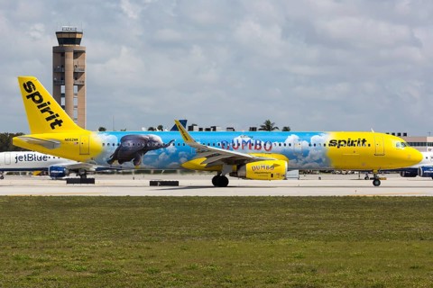 An Airbus A321 aircraft of Spirit Airlines with the registration N662NK and the special livery Dumbo at Fort Lauderdale Airport