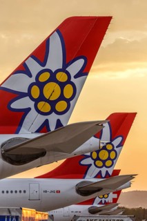 Edelweiss Airbus A320 aircraft tails at Zurich Airport