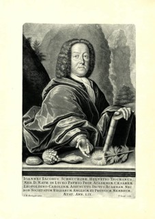 Johann Jakob Scheuchzer