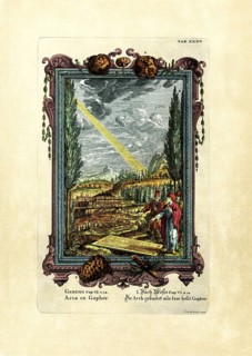 Genesis 6/14