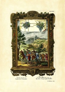 Book of Numbers