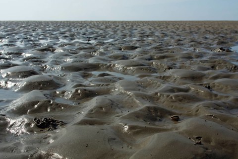 Wadden Sea in the North Sea