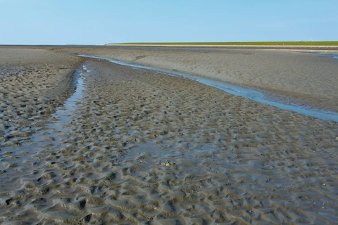 Wadden Sea in the North Sea