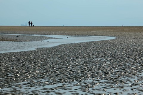Wadden Sea in the North Sea