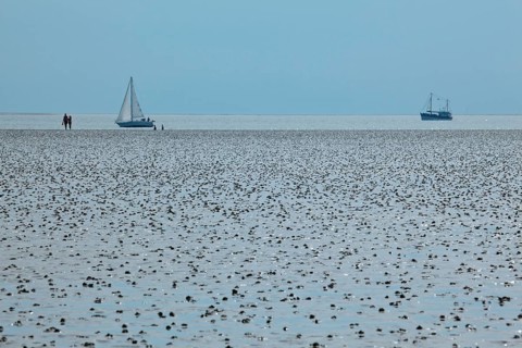 Wadden Sea in the North Sea
