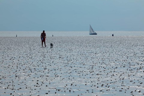Wadden Sea in the North Sea