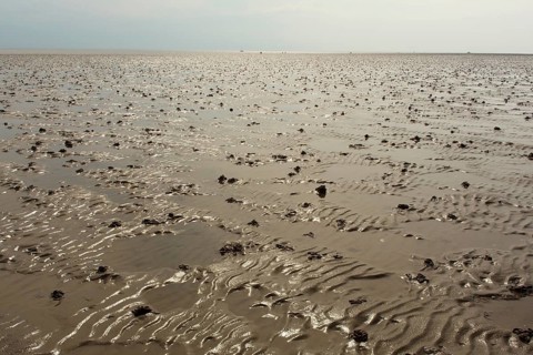 Wadden Sea in the North Sea
