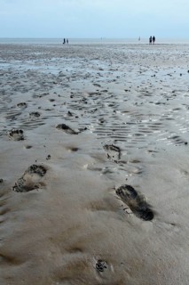 Wadden Sea in the North Sea
