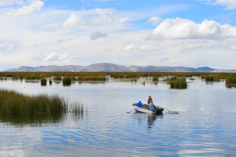 Rowing boat in the reeds