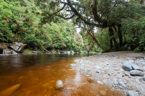Guy at Oparara Basin